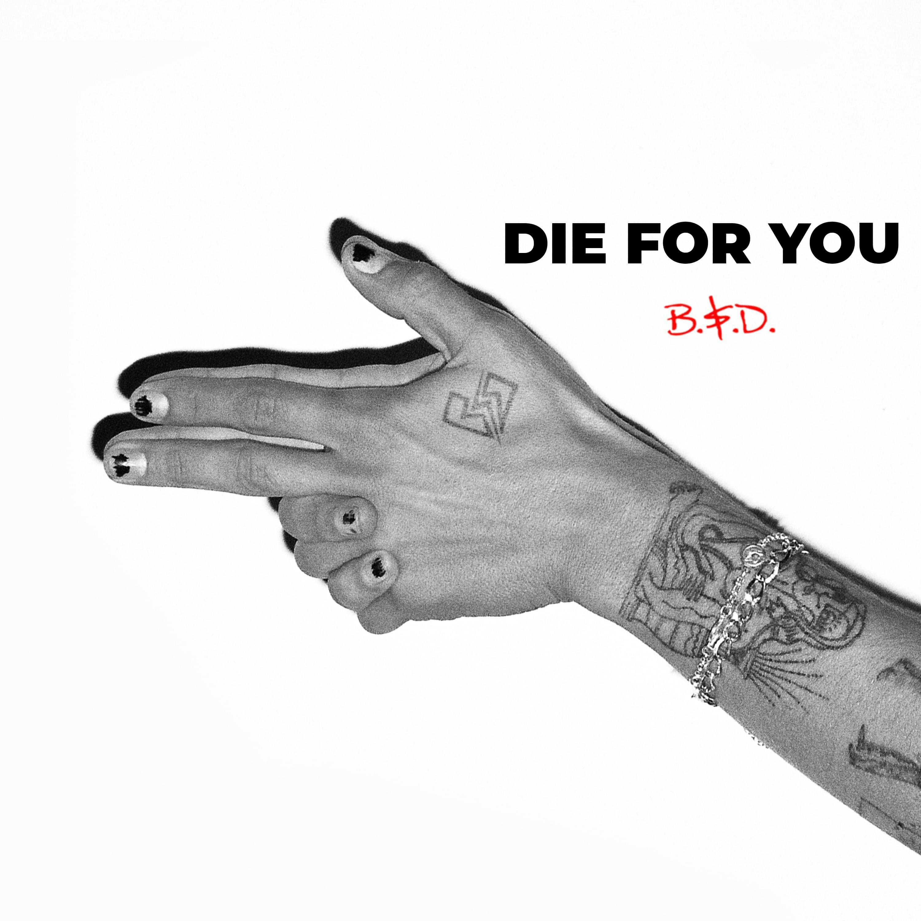 Cover art for Die For You by Beauty School Dropout